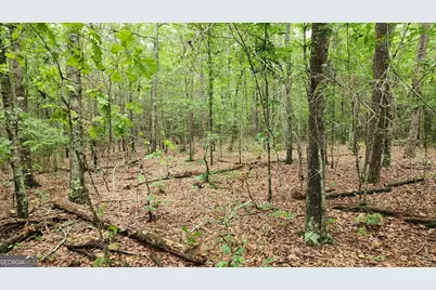 143 Highway 341 S, Barnesville, GA 30204 - Photo 7