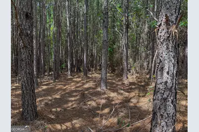 0 River Oak Drive, Eatonton, GA 31024 - Photo 5
