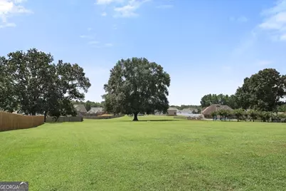 124 Magnolia Farms Drive, Milner, GA 30257 - Photo 39
