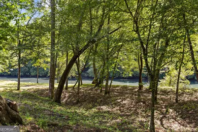 2 Weymans Way, Blue Ridge, GA 30513 - Photo 35
