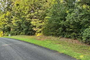 0 Town Creek Rd, Talking Rock, GA 30175 - Photo 1