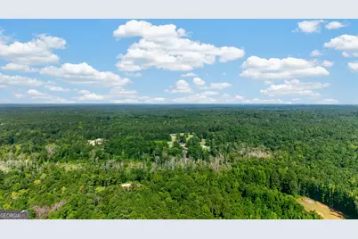 212 Todd Road, Senoia, GA 30276 - Photo 11