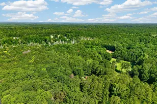 212 Todd Rd, Senoia, GA 30276 - Photo 7