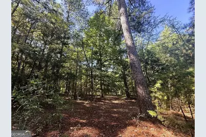 2604 Hughes Rd, Bowman, GA 30624 - Photo 9