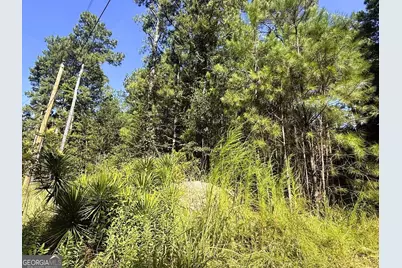 2604 Hughes Rd, Bowman, GA 30624 - Photo 5