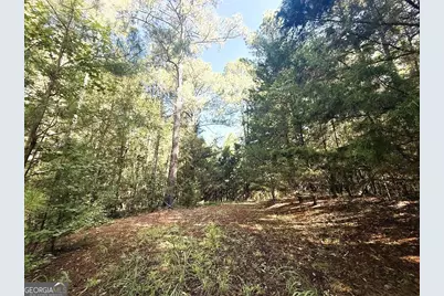 2604 Hughes Rd, Bowman, GA 30624 - Photo 7
