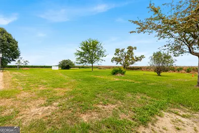 323 Rocky Ford Road, Pinehurst, GA 31070 - Photo 53
