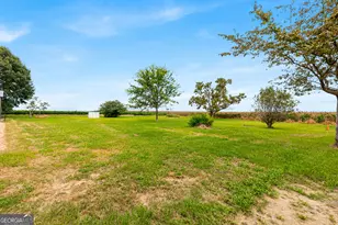 323 Rocky Ford Rd, Pinehurst, GA 31070 - Photo 53