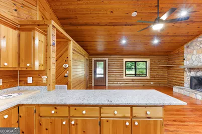 323 Rocky Ford Road, Pinehurst, GA 31070 - Photo 39