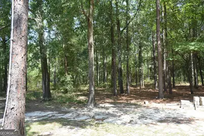1438 Fannie Head Road, Jesup, GA 31545 - Photo 9