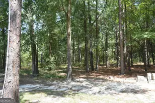 1438 Fannie Head Rd, Jesup, GA 31545 - Photo 9