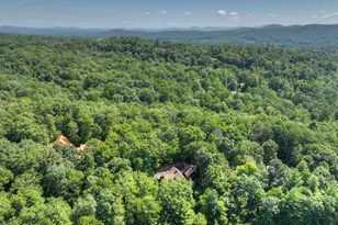 2975 Mountain Tops Rd, Blue Ridge, GA 30513 - Photo 55