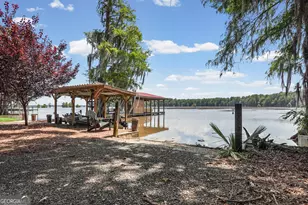 110 Sawdust Trail, Cobb, GA 31735 - Photo 49