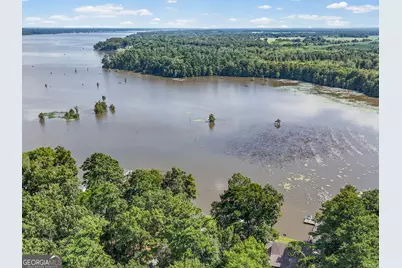 110 Sawdust Trail, Cobb, GA 31735 - Photo 65