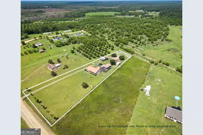 644 Shiloh Road, Ray City, GA 31645 - Photo 39
