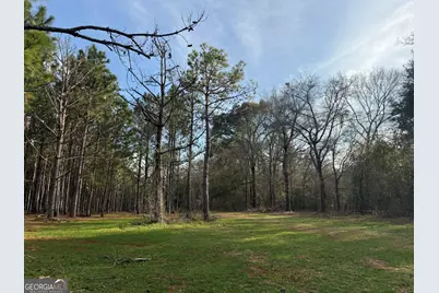 006 State Route 45, White Plains, GA 31780 - Photo 5