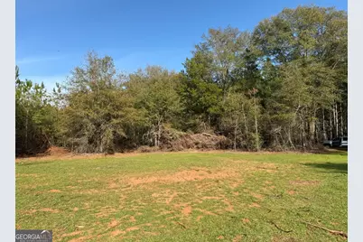 006 State Route 45, White Plains, GA 31780 - Photo 3