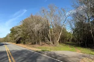 006 State Route 45, White Plains, GA 31780 - Photo 1
