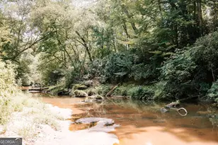 3288 King Hall Mill Rd, Bowman, GA 30624 - Photo 47