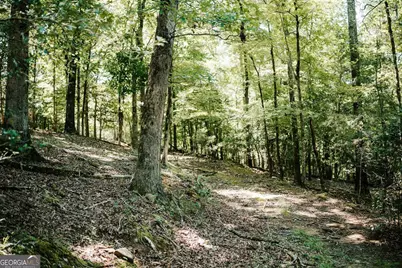 3288 King Hall Mill Road, Bowman, GA 30624 - Photo 45
