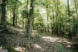 3288 King Hall Mill Rd, Bowman, GA 30624 - Photo 45