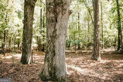3288 King Hall Mill Road, Bowman, GA 30624 - Photo 55