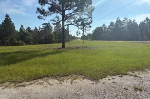 251 Moores Chapel Rd, Mauk, GA 31058 - Photo 35