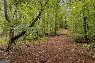 1736 Harmony Grove Church Road, Acworth, GA 30101 - Photo 21