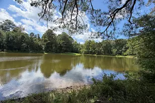 1631 Hwy 15 S, Greensboro, GA 30642 - Photo 5