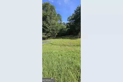 0 Airport Rd, Hawkinsville, GA 31036 - Photo 3