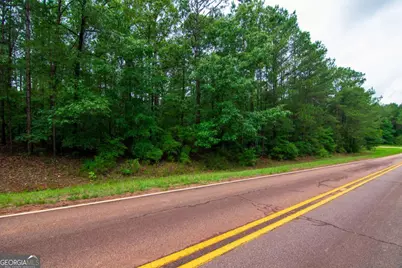 0 White Road, Pine Mountain, GA 31822 - Photo 3