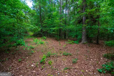 0 White Road, Pine Mountain, GA 31822 - Photo 13