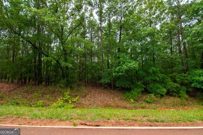 0 White Road, Pine Mountain, GA 31822 - Photo 5