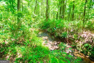 0 White Rd, Pine Mountain, GA 31822 - Photo 1