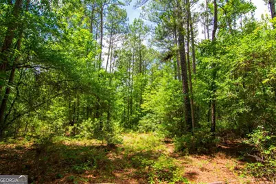 0 White Road, Pine Mountain, GA 31822 - Photo 15