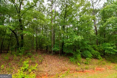 0 White Road, Pine Mountain, GA 31822 - Photo 9