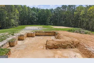 38.682 Acres Btwn 446 & 478 Rising Star Rd., Brooks, GA 30205 - Photo 1