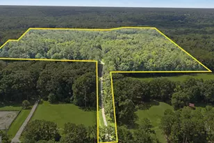 38 682 Acres Btwn 446 & 478 Rising Star Rd, Brooks, GA 30205 - Photo 1