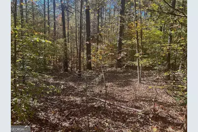 17.86Ac Pine Ridge Drive, Elberton, GA 30635 - Photo 13