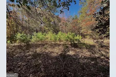 17.86Ac Pine Ridge Drive, Elberton, GA 30635 - Photo 5
