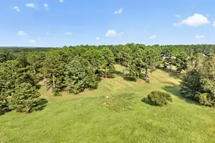 561 Chula Brookfield Rd, Chula, GA 31733 - Photo 61