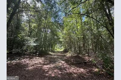 10 Sunhill Grange Road, Davisboro, GA 31018 - Photo 11