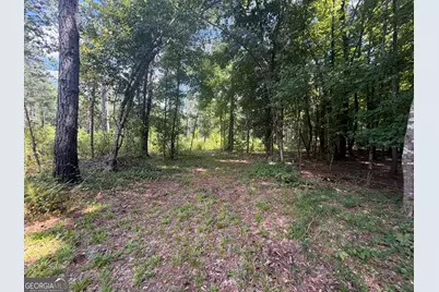 10 Sunhill Grange Road, Davisboro, GA 31018 - Photo 25