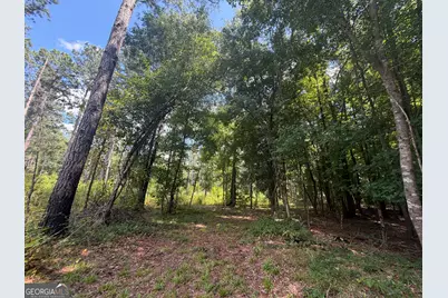 10 Sunhill Grange Road, Davisboro, GA 31018 - Photo 23