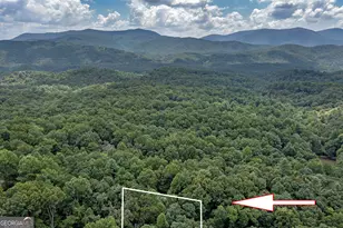 78 Tomahawk Trail, Blue Ridge, GA 30513 - Photo 47
