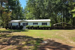 133 Joe Oglesby Rd, Portal, GA 30450 - Photo 1