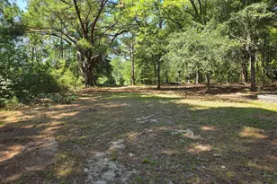 133 Joe Oglesby Rd, Portal, GA 30450 - Photo 17