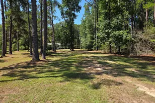 133 Joe Oglesby Rd, Portal, GA 30450 - Photo 19