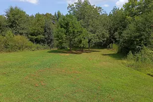 241 Oglesby Dr, Bowersville, GA 30516 - Photo 33