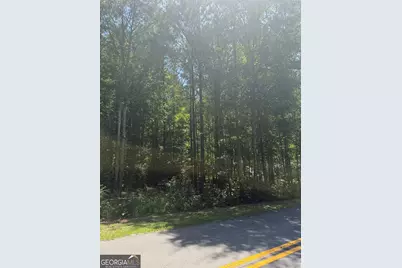 0 Opal Street, Luthersville, GA 30251 - Photo 3